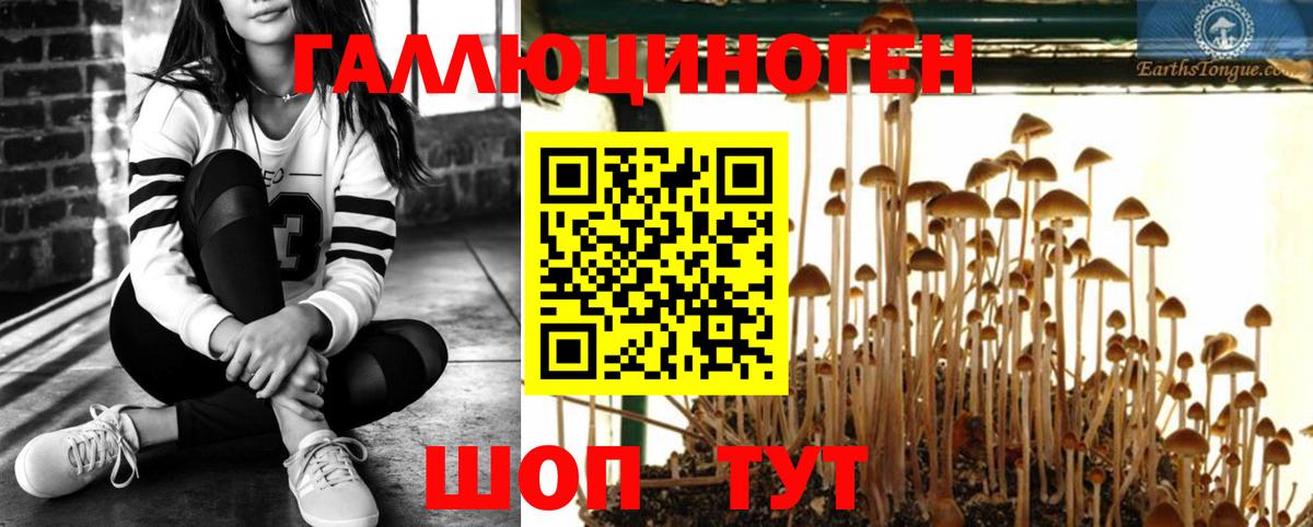 Псилоцибиновые грибы Psilocybine cubensis  Галлюциногенные грибы мицелий  Вход с VPN  Малоярославец 